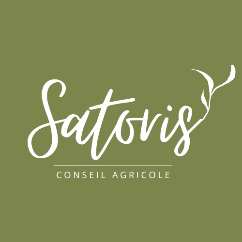 SATORIS Conseils